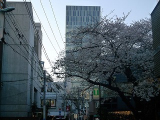 静岡名古屋　平成２１年４月 047.jpg